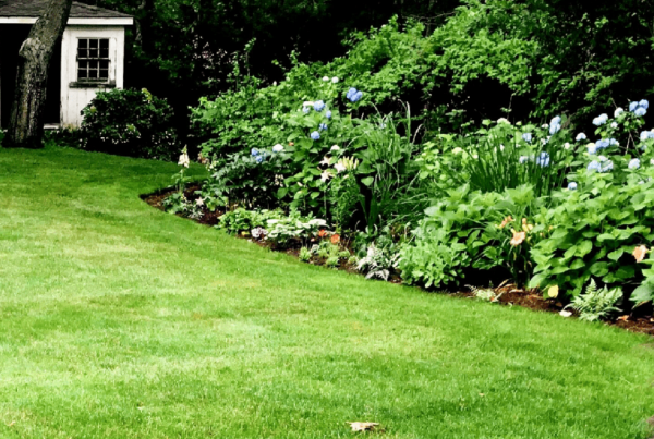 CMP Burglarproof Your Backyard